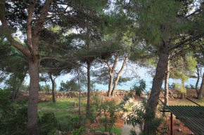  Apartment Zavala 8774a  Елса